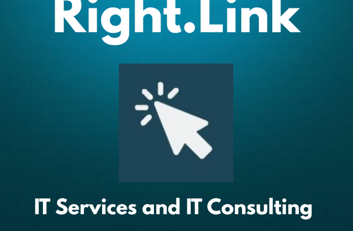 Finance Consulting for IT Outsourcing Agency from Portugal